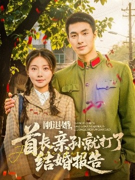 资源《刚退婚，首长亲孙就打了结婚报告》的海报