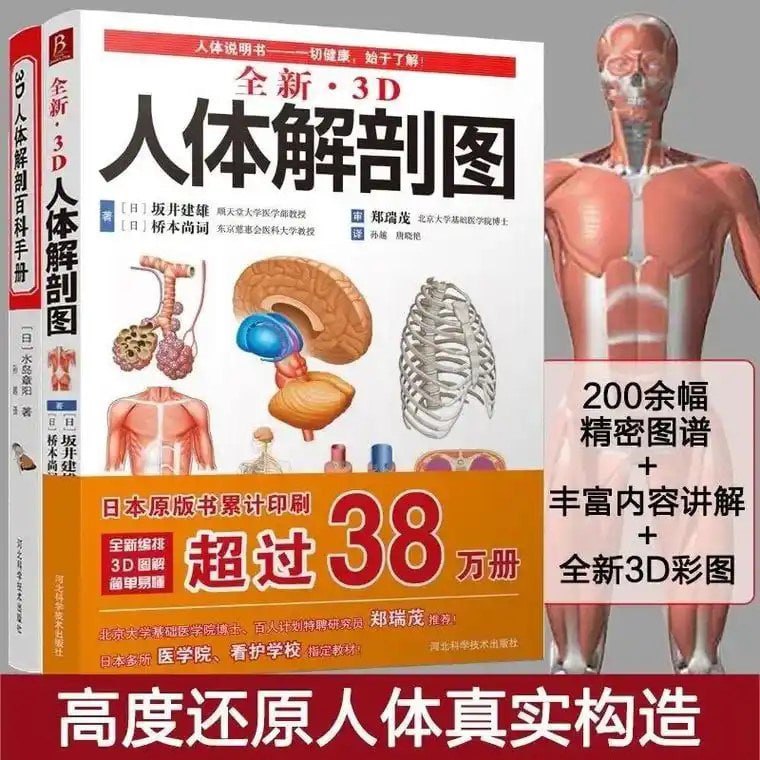 资源《《全新3D人体解剖图》严重推荐 了解熟悉人体结构 一切健康 始于了解[pdf]》的海报