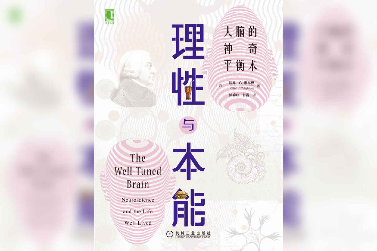 资源《理性与本能:大脑的神奇平衡术》的海报