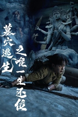 资源《墓穴逃生之唯一生还位》的海报