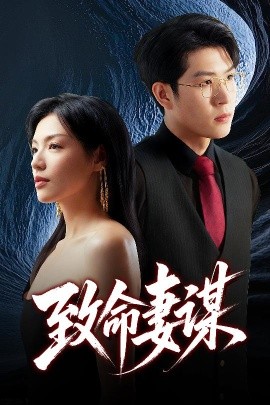 资源《致命妻谋》的海报