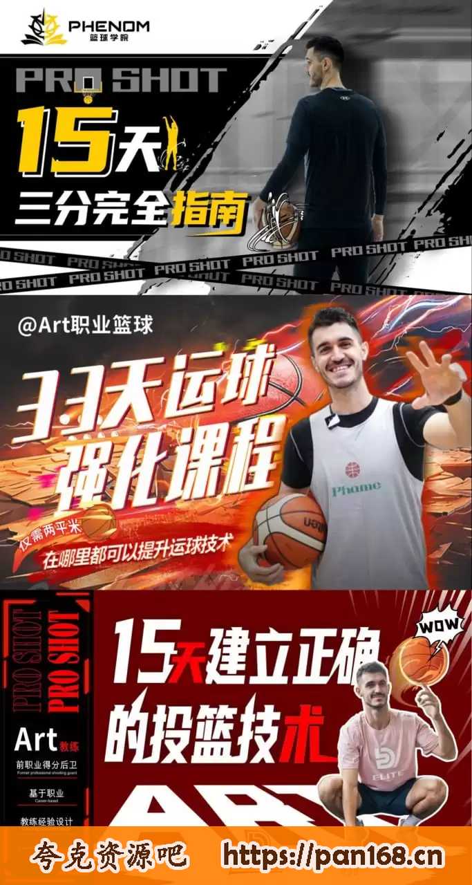资源《B站付费课程-Art职业篮球课程合集》的海报