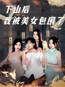 资源《下山后我被美女包围了》的海报