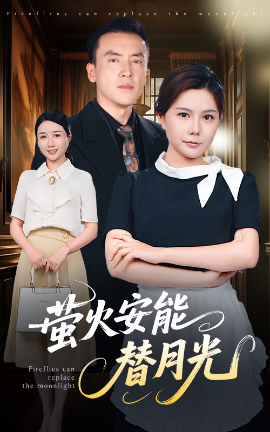 资源《莹火安能替月光》的海报