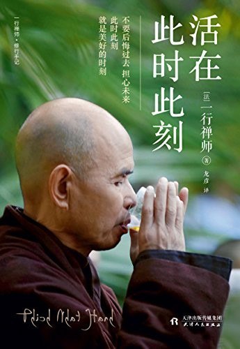 资源《《活在此时此刻》一行禅师 修行手记[epub]》的海报