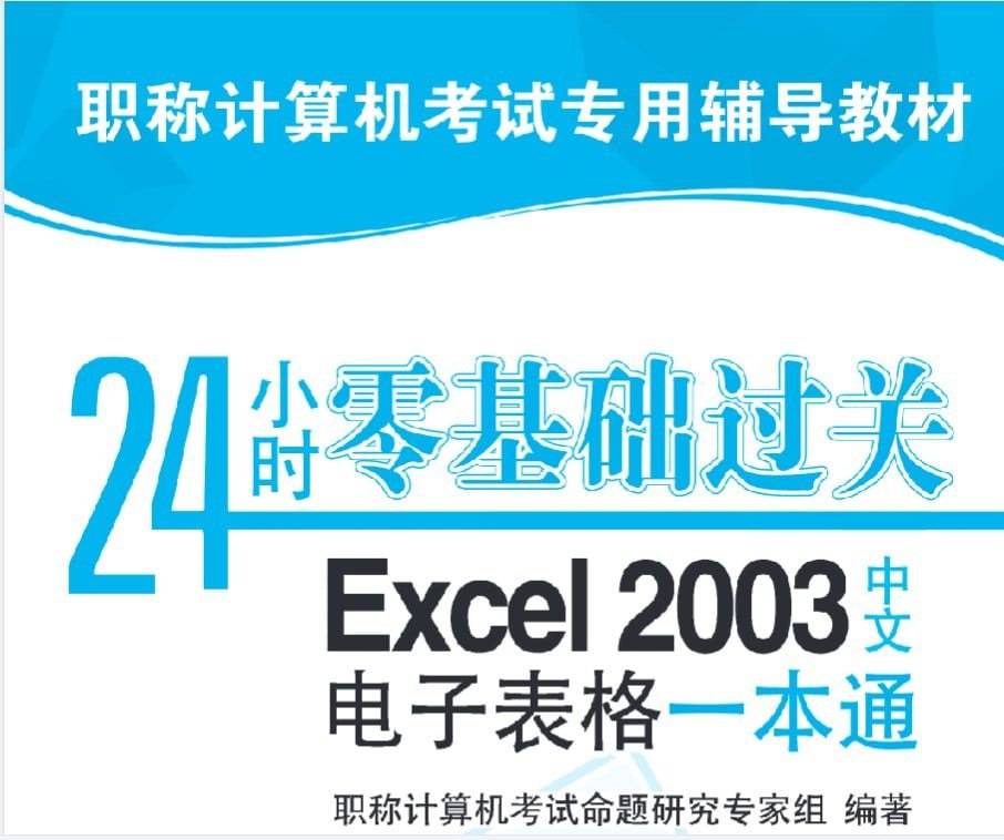 资源《《Excel 中文电子表格一本通》办公人员必备[pdf]》的海报