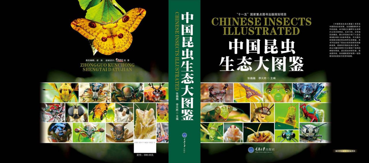 资源《[中国昆虫生态大图鉴].全彩版》的海报