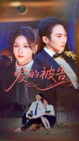 资源《爱的被告》的海报