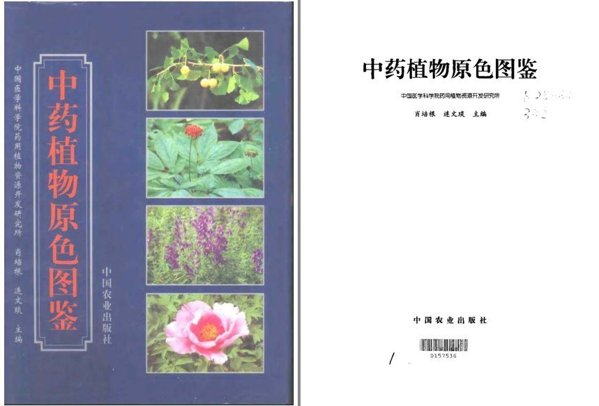 资源《《中药植物原色图鉴》中医爱好者必备[pdf]》的海报