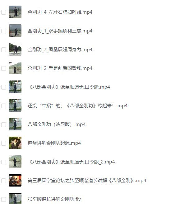 资源《《张志顺道长全集》视频+音频 附道长简介[MP4/FLV]》的海报