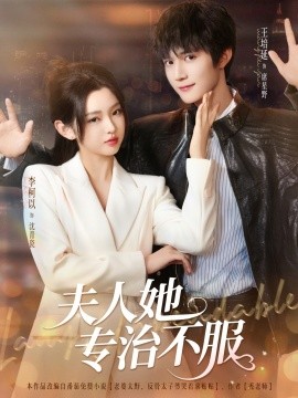 资源《夫人她专治不服》的海报