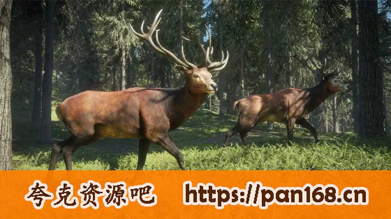资源《猎人：野性的呼唤 豪华收藏版 DLC+存档-游戏》的海报