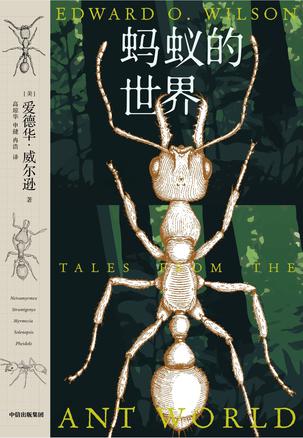 资源《蚂蚁的世界 [﻿人文社科] [pdf+全格式]》的海报