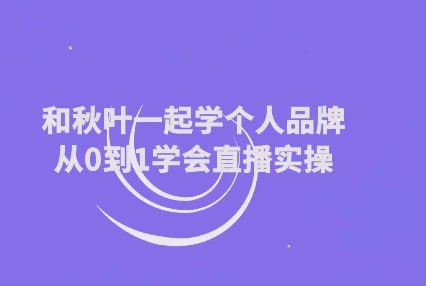 资源《和秋叶一起学个人品牌从0到1学会直播实操【10.7GB/MP4】》的海报
