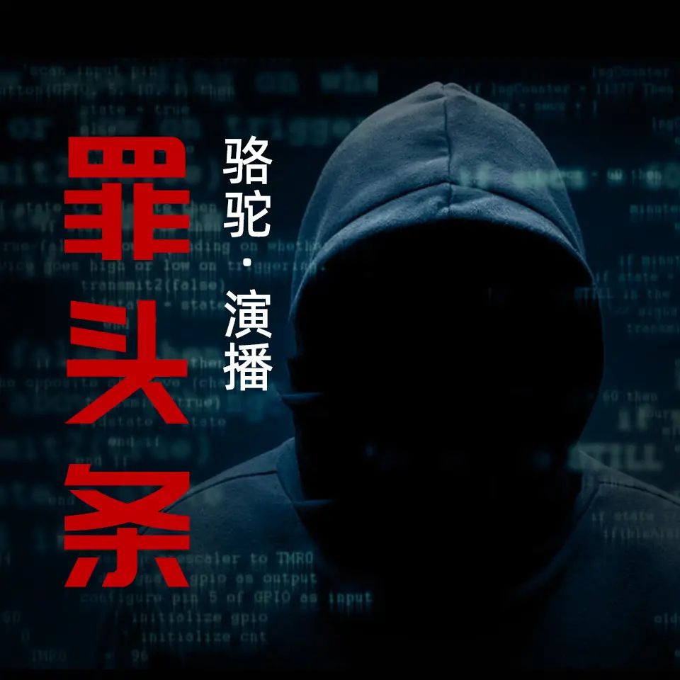 资源《有声小说《罪头条》主播：骆驼 357集完》的海报