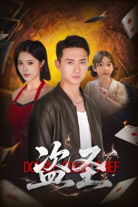 资源《盗圣》的海报