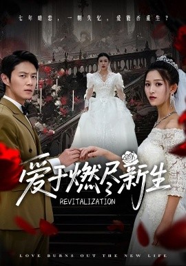 资源《爱于燃尽新生》的海报
