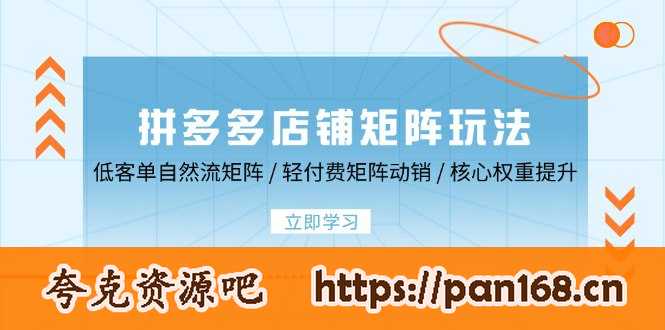 资源《拼多多店铺矩阵玩法：低客单自然流矩阵 / 轻付费矩阵 动销 / 核心权重提升》的海报