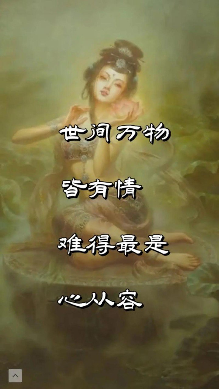 资源《《诗经：万物皆有情》流传三千年的万物百态》的海报
