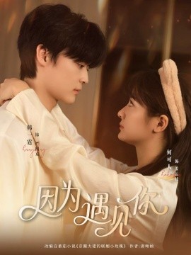 资源《因为遇见你》的海报