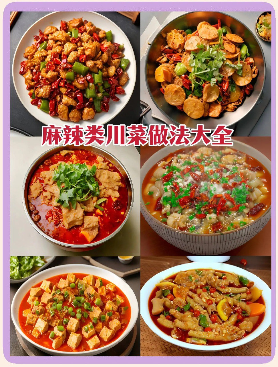 资源《大厨教做正宗川菜6000例》的海报