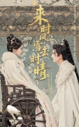 资源《来时风雪去时晴》的海报