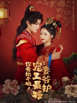 资源《你惹她干嘛，宠妻王爷最护短》的海报
