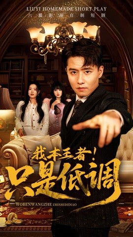 资源《我本王者！只是低调》的海报