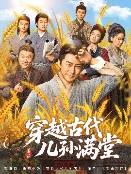 资源《穿越古代儿孙满堂》的海报