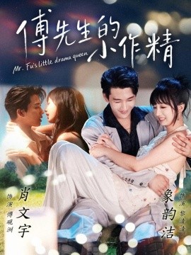 资源《傅先生的小作精》的海报