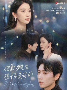 资源《抱歉沈先生孩子不是你的》的海报
