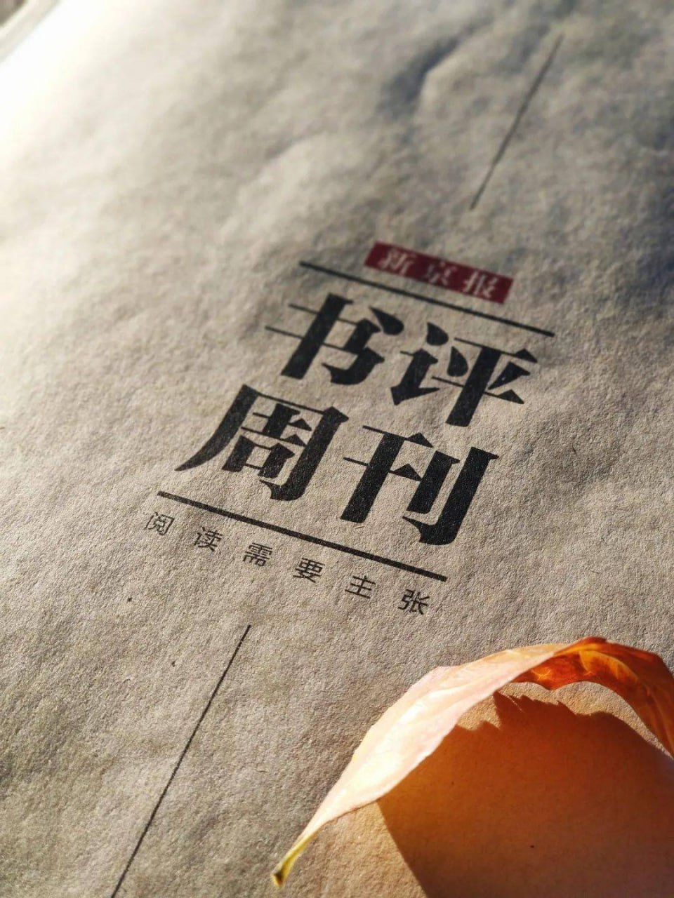 资源《新京报《书评周刊 (有声版) 》》的海报