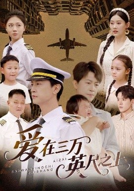 资源《爱在三万英尺之上》的海报