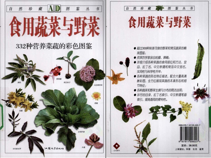 资源《《食用野菜与蔬菜：332种营养菜蔬》彩色珍藏版 蔬菜与野菜精美图鉴[pdf]》的海报
