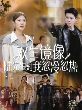 资源《双生镜像陆先生对我忽冷忽热》的海报