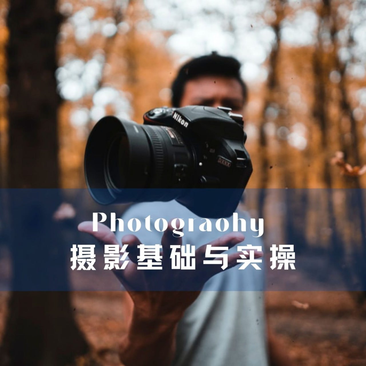 资源《《猫的树摄影课程》》的海报