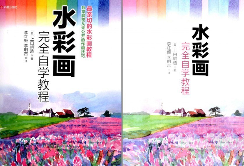 资源《《水彩画完全自学教程》作画技巧[pdf]》的海报