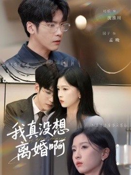 资源《我真没想离婚啊》的海报
