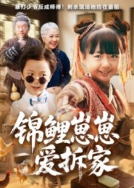 资源《锦鲤崽崽爱拆家》的海报