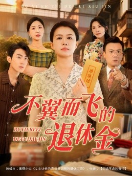 资源《不翼而飞的退休金》的海报