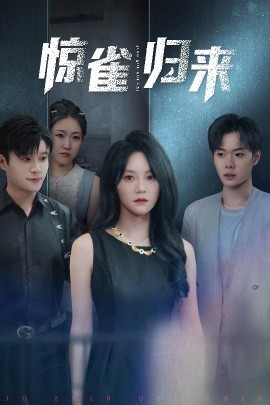 资源《惊雀归来》的海报