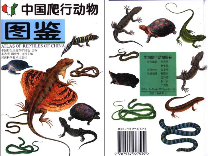 资源《《中国爬行动物图鉴》趣味性的爬行动物世界[pdf]》的海报