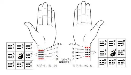 资源《国家非遗传承  太素脉法入门教程  秘传脉法断人吉凶》的海报