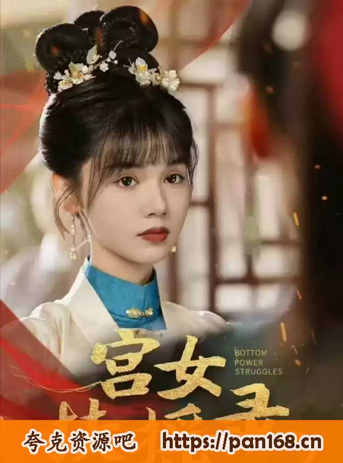 资源《宫女扶摇录 》的海报