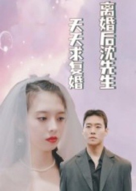 资源《离婚后沈先生天天求复婚》的海报