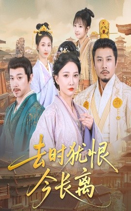资源《去时犹恨今长离》的海报