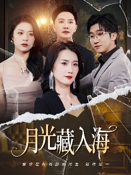 资源《月光藏入海》的海报