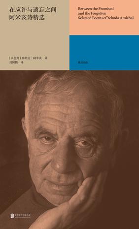 资源《在应许与遗忘之间：阿米亥诗精选 [﻿小说文学] [pdf+全格式]》的海报