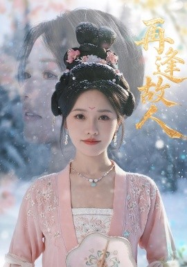 资源《再逢故人》的海报