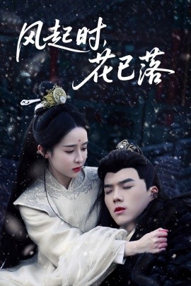 资源《风起时，花已落》的海报